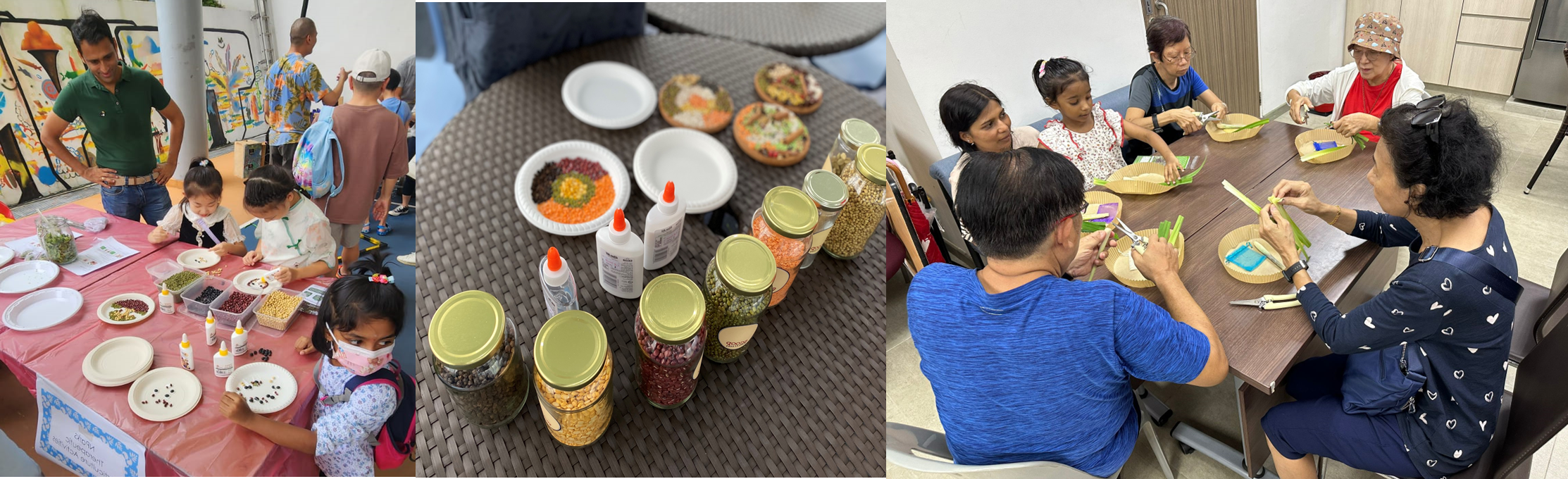 Seed mandala therapeutic horticulture activity